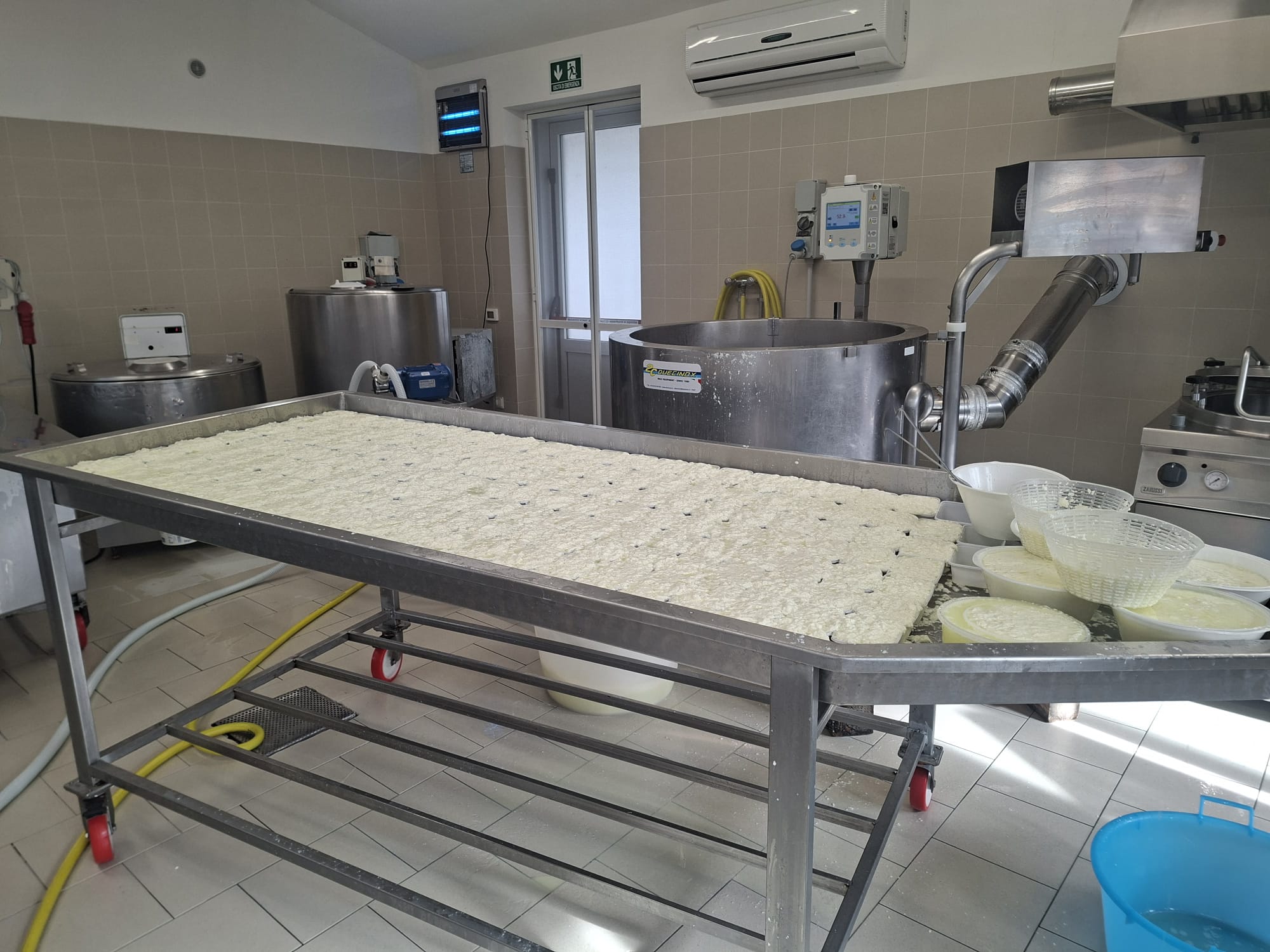 ricotta cheesemaking 2.